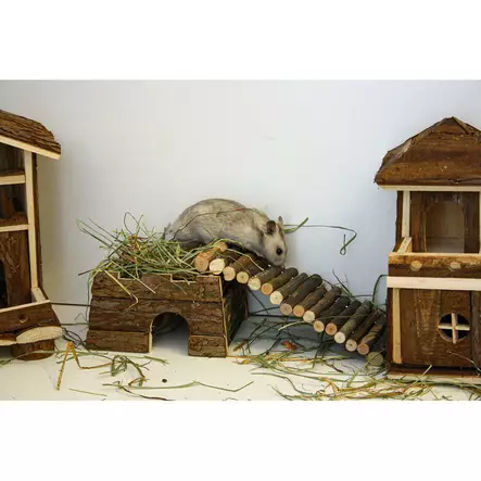 Ozami Luonnonpuusilta jyrsijöille S - Jyrsijöiden pesätarvikkeet - 7330002045550 - 2