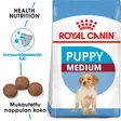 RC MEDIUM Puppy - Royal Canin kuivaruoat - 3182550708180 - 1