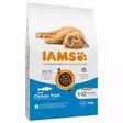 Iams cat adult ocean fish 3kg - Iams kuivaruoat - 8710255127040 - 1