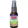 KONG Naturals Catnip Spray 28gr - Kissanminttulelut - 035585211220 - 1