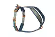 Non-Stop Line Harness Rachel Pohl editio - Koiran valjaat - 7071652016230 - 1