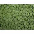 Tropical Green algae wafers 1kg - Tropical kalanruoat - 5900469664100 - 1