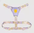 Woolly Wolf Sunshower Valjas - Koiran valjaat - 6440000201580 - 1