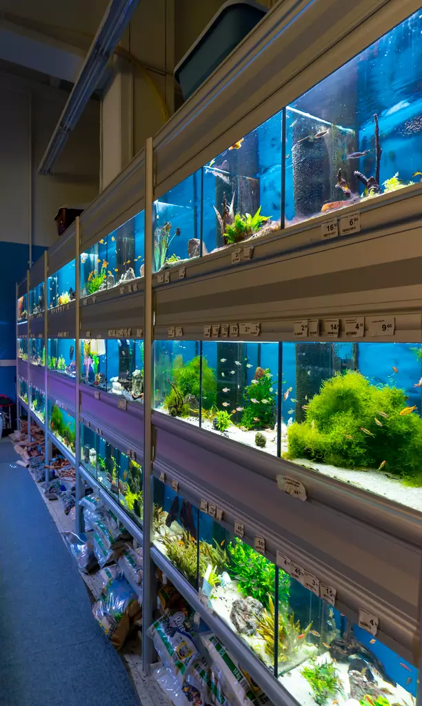 Akvaarionhuoltopalvelu - Akvaariohuolto - 00225500550 - 1