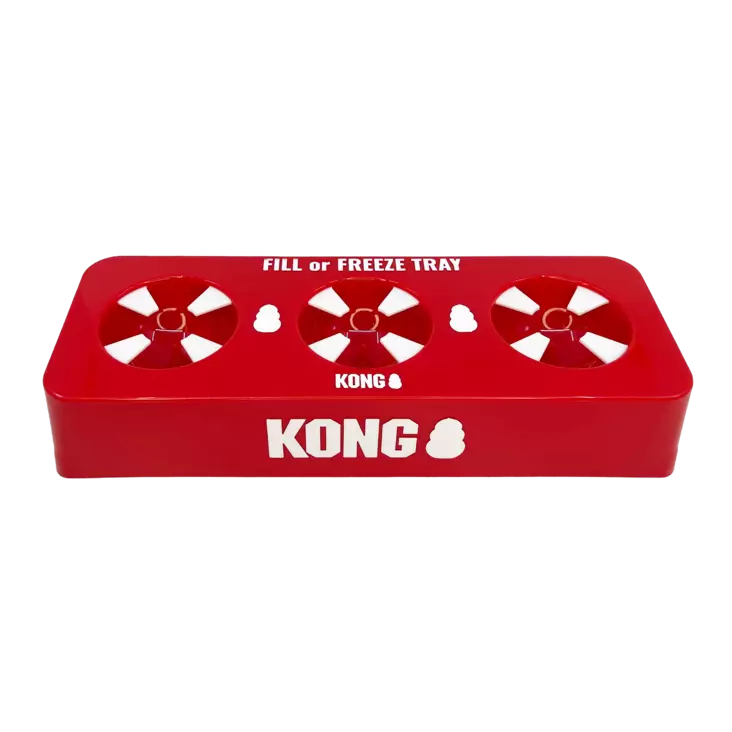 KONG Freeze Tray pidike Kong leluille - Koiran aktivointilelut - 035585523170 - 1