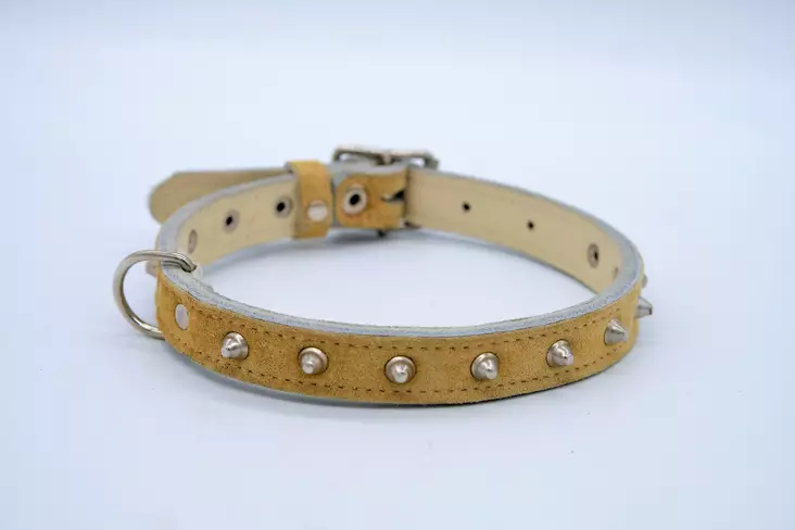 Kesomaa Niittipanta 19mm 50cm - Nahkapannat - 64300201301600 - 1