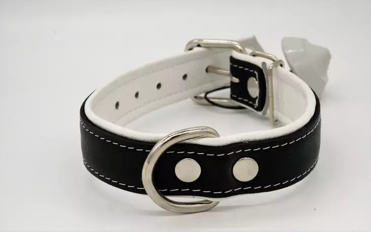 Nahkapanta koirille 45x3cm - Nahkapannat - 965296236500 - 1