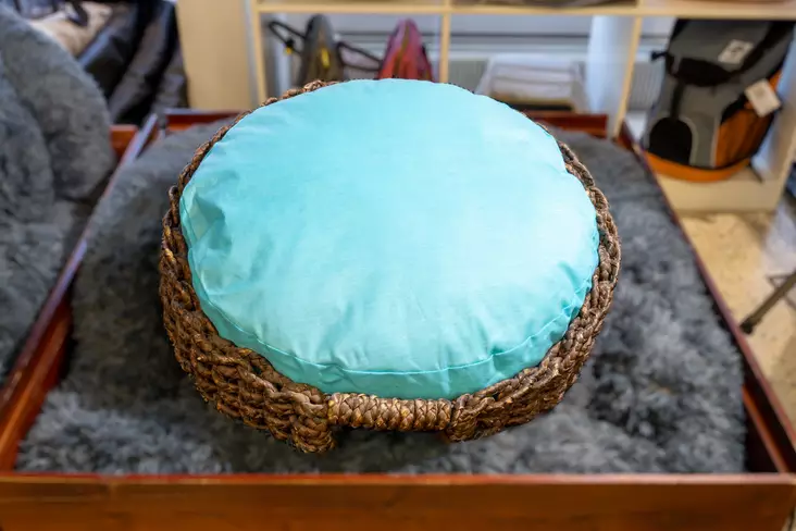 Zolux koripeti Fantasy - Kissan pedit ja pesät - 3336025060000 - 1