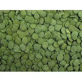 Tropical Green algae wafers 1kg - Tropical kalanruoat - 5900469664100 - 1