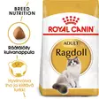 RC FBN Ragdoll 2kg - Royal Canin kuivaruoat - 3182550825351 - 1