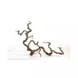 Viiniköynnös L 70-100cm - Akvaarion kannot - 4260092572311 - 1