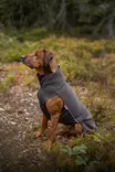 Pomppa Polarpomppa stone - Takit ja manttelit - 6430066796991 - 4