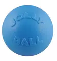 Jolly ball bounce-n-play 20cm - Koiran pallot - 788169250831 - 1