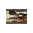 Siaminpiikkisilmä Pangio khulii - Pohjakalat - 7040351 - 1