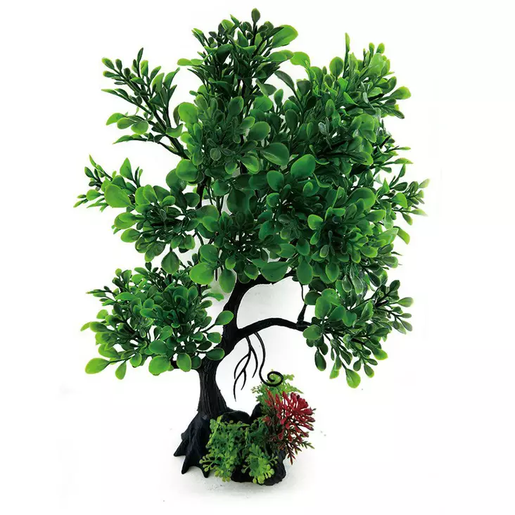 Akvaariokasvi Ozami pensas 15x30cm - Akvaarion koristeet - 7330002053531 - 1