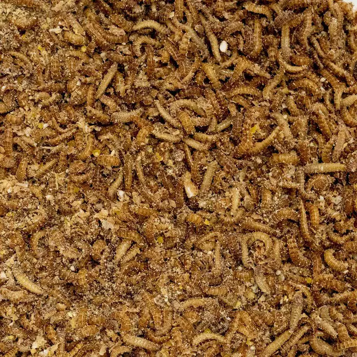 Buffalomadot Rasia 30ml - Matelijoiden sirkat ym tuoreruoat - 7330002054361 - 1