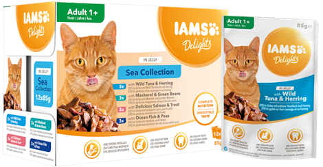 Iams Delights Sea Collection Gravy 12x85g - Iams märkäruoat - 8710255100401 - 2