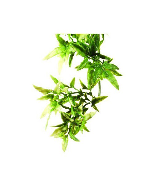 Jungle Plant Croton Muovikasvi S - Tekokasvit - 015561230001 - 1