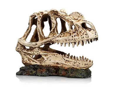 Kallokoriste terraarioon 19cm - Kallot ja koristeet - 3664471003341 - 1