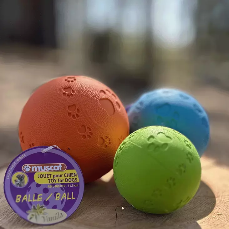 Muscat Rubber ball toy 7,5 cm - Koiran pallot - 3336024800171 - 1