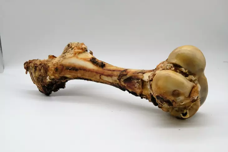 Naudan jättiluu Tessu - Koiran kypsät luut - 13060701 - 1