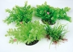 Zolux Aeroplant air-diffusor green M - Akvaarion koristeet - 3336023520001 - 1