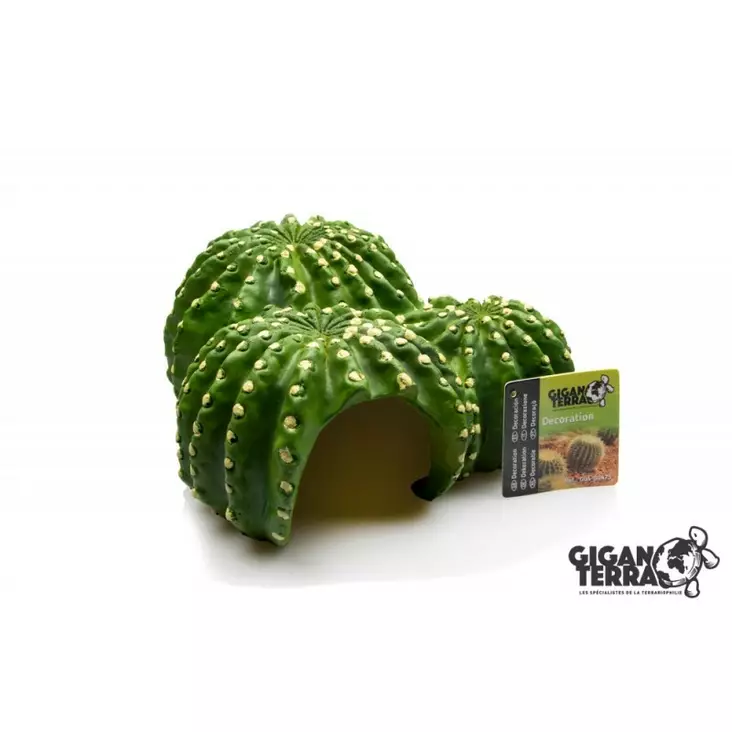Giganterra Kaktusluola - Kallot ja koristeet - 3664471004751 - 1