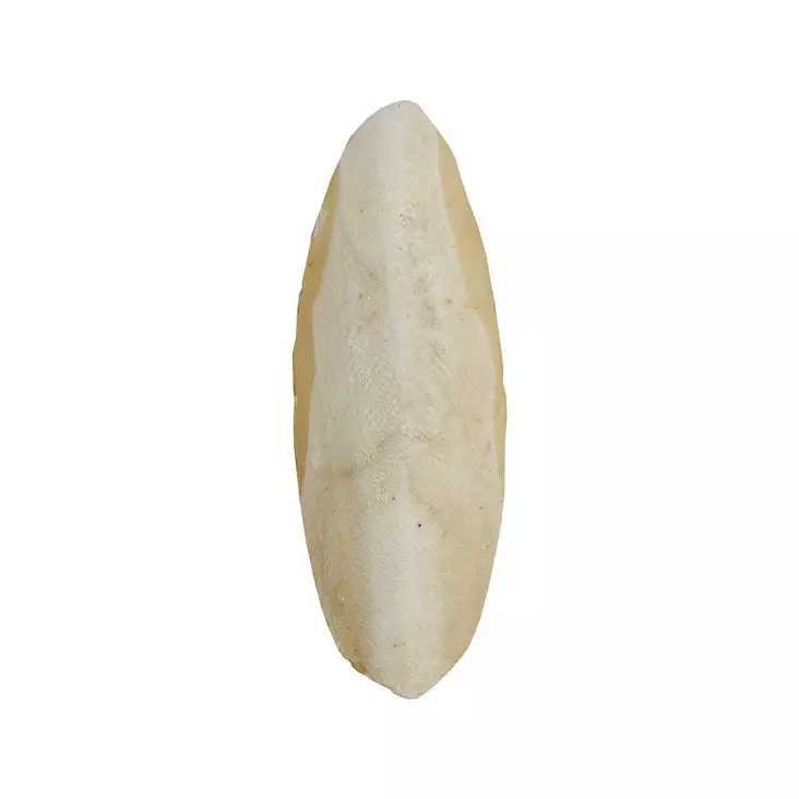 HP seepiansuomu n. 20cm - Pieneläinten vitamiinit ja lisäravinteet - 701029210431 - 1