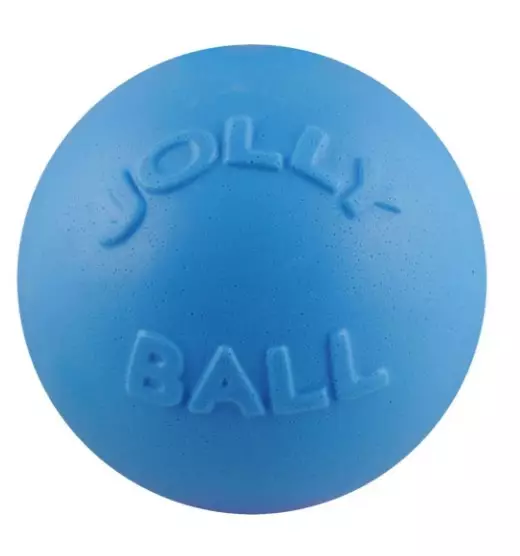 Jolly ball bounce-n-play 20cm - Koiran pallot - 788169250831 - 1