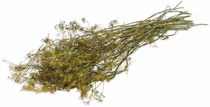 JR FARM "Pala luontoa" Tillin sato 80g - Muut jyrsijän ja kani  herkut - 4024344162411 - 1