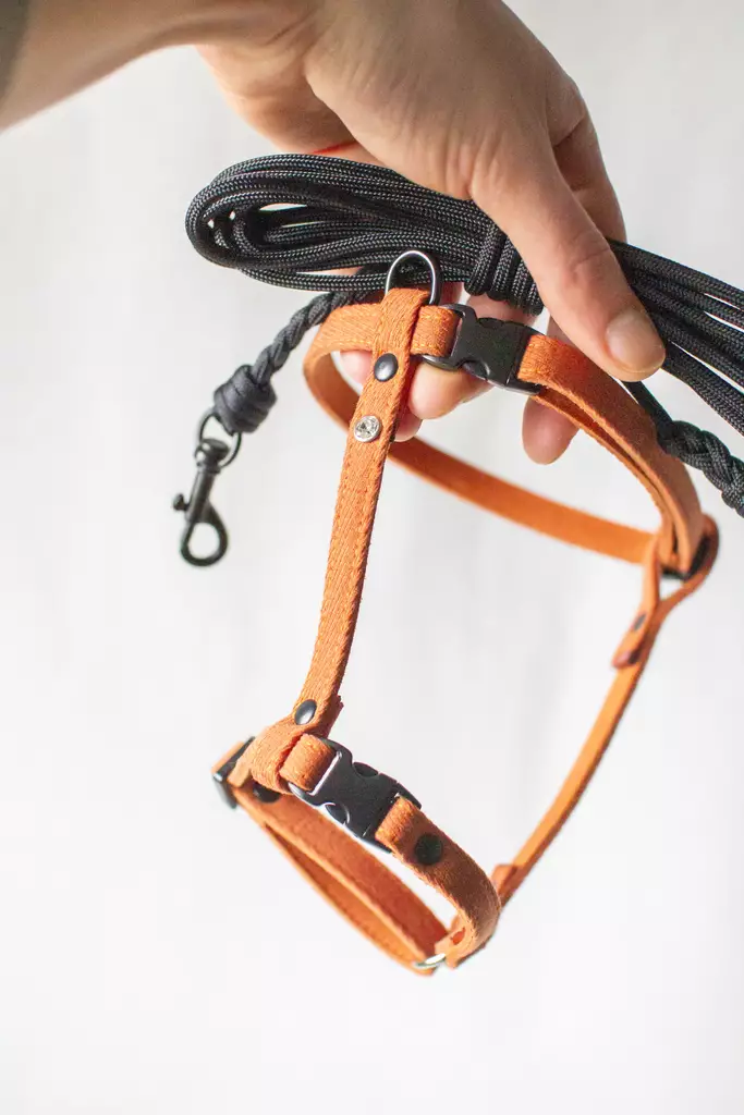 Lavellas H-valjaat L - Kissan pannat, valjaat ja taluttimet - 31155111 - 1