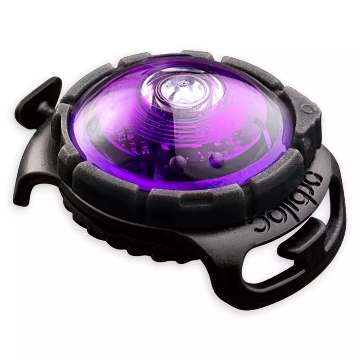 Orbiloc Dual Turvavalo Liila - Koiran valot ja valopannat - 57104820010621 - 1