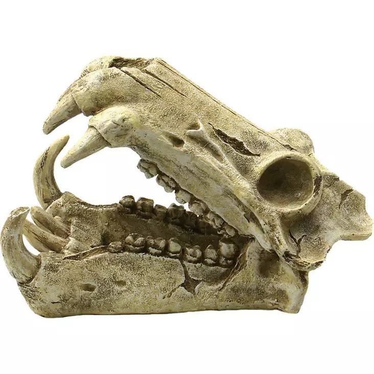 Ozami kallo 20x11x13cm - Akvaarion koristeet - 7330002051421 - 1