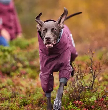 Hurtta Extreme Overall Munakoiso - Haalarit - 6410329348662 - 2