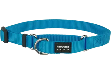 RedDingo panta puolikuristava turkoosi - Puolikiristävät pannat - 9330725055162 - 1