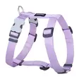 RedDingo Classics Pastel Purple - Koiran valjaat - 9330725104402 - 1