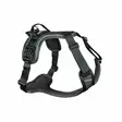 Non-Stop Ramble Harness L - Koiran valjaat - 7071652013192 - 1