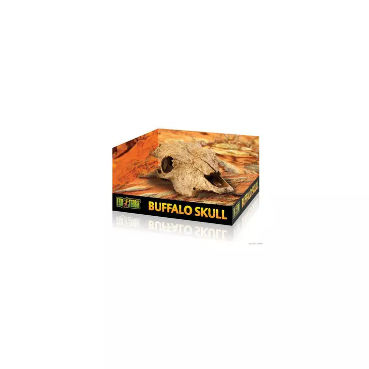 Exoterra Buffalo Skull - Kallot ja koristeet - 015561228572 - 1
