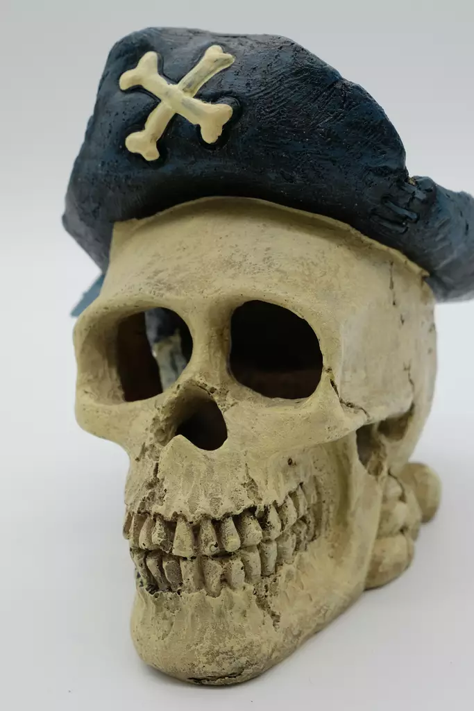 Giganaqua merirosvokallo - Akvaarion koristeet - 3664471005772 - 1