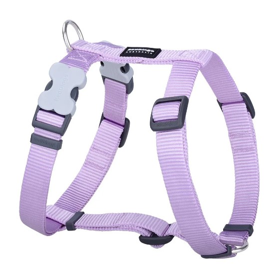 RedDingo Classics Pastel Purple - Koiran valjaat - 9330725104402 - 1