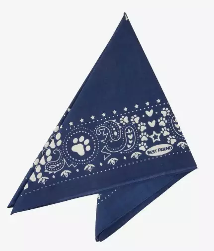 Best Friend Repeltec Bandana 55x55cm - Koiran hyönteiskarkotteet - 5700551142352 - 1