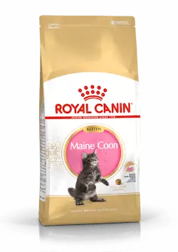 RC Breed maine Coon kitten 2kg - Royal Canin kuivaruoat - 3182550816502 - 1