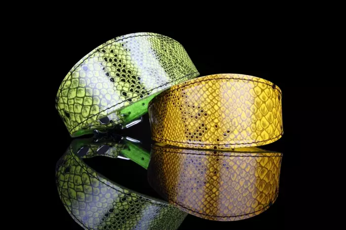 Vinttikoirapanta käärmekuviolla - Nahkapannat - 5906365554392 - 1