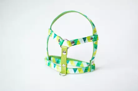 Lavellas Lapavaljas S - Kanien valjaat - 11335353 - 2