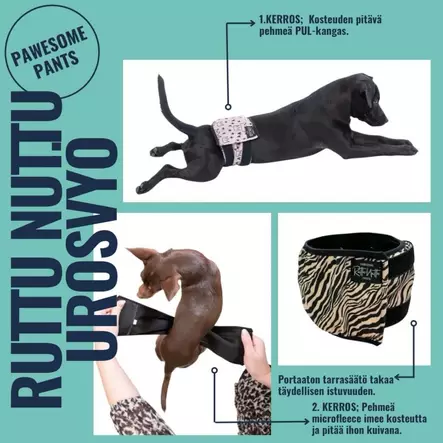 Ruttunuttu urosvyö Crowned King - Juoksuhousut ja urossuojat - 4646512123 - 1