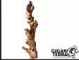 Giganterra Root Lurus L kanto - Puut, korkit ja kivet - 3664471000173 - 1