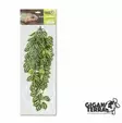 Muovikasvi Pilea terraarioon 70cm - Tekokasvit - 3664471002603 - 1