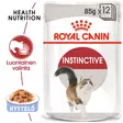 RC FHN Instinctive Jelly - Royal Canin märkäruoat - 9003579309513 - 1