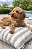 Bia Bed Lounge patja koirille - Koiran pedit - 7330038135263 - 2