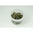 Invitro Cryptocoryne Pygmaea - Akvaariokasvit - 1565623 - 1
